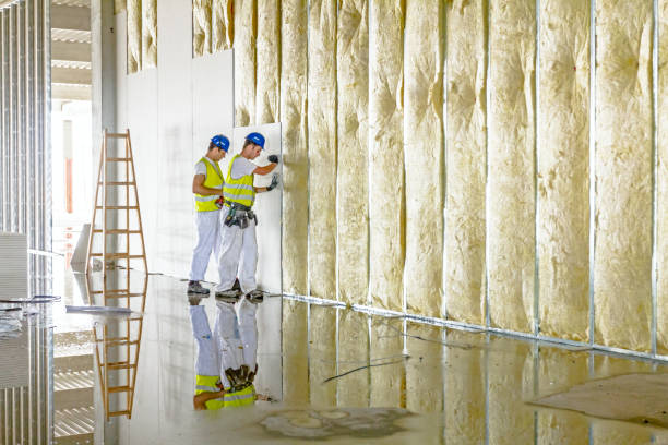 Best Spray Foam Insulation  in Grandville, MI